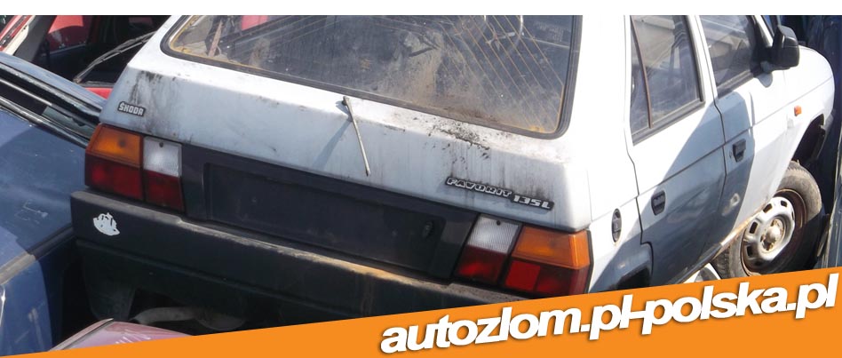 Skup aut Mrocza,złomowanie Mrocza, skupaut-zlomowanie.pl